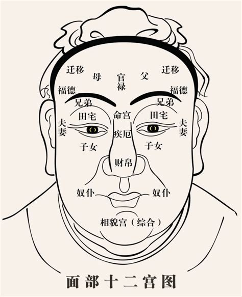 人的面相